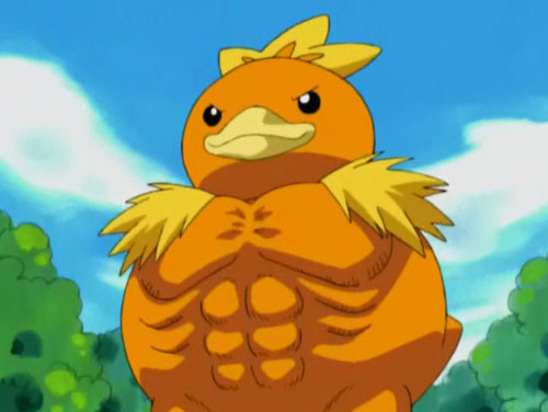 Torchic tanks a super effective attack.jpg