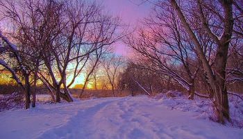 winter 2