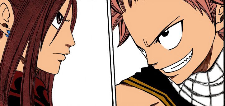 1_Erza___Natsu.jpg