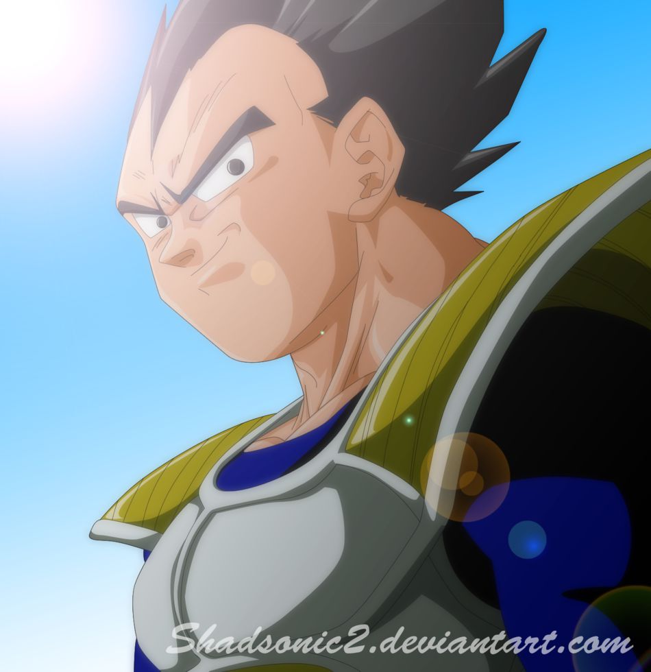 1__Vegeta__by_shadsonic2.png