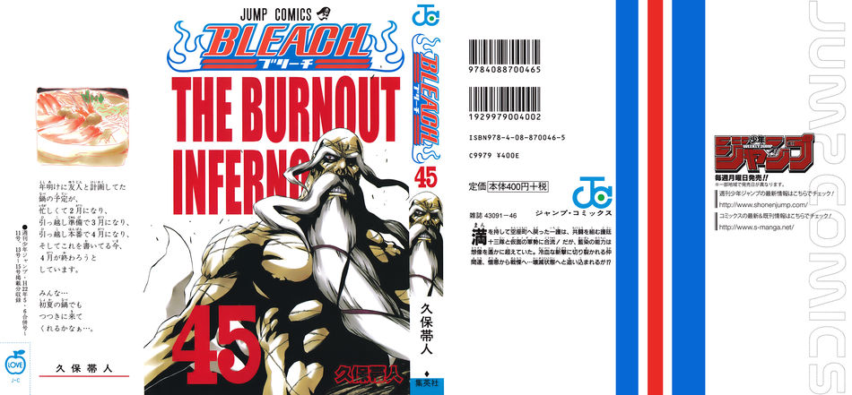 Bleach 45.jpg