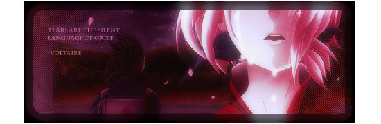 SSSIG copy copy.png