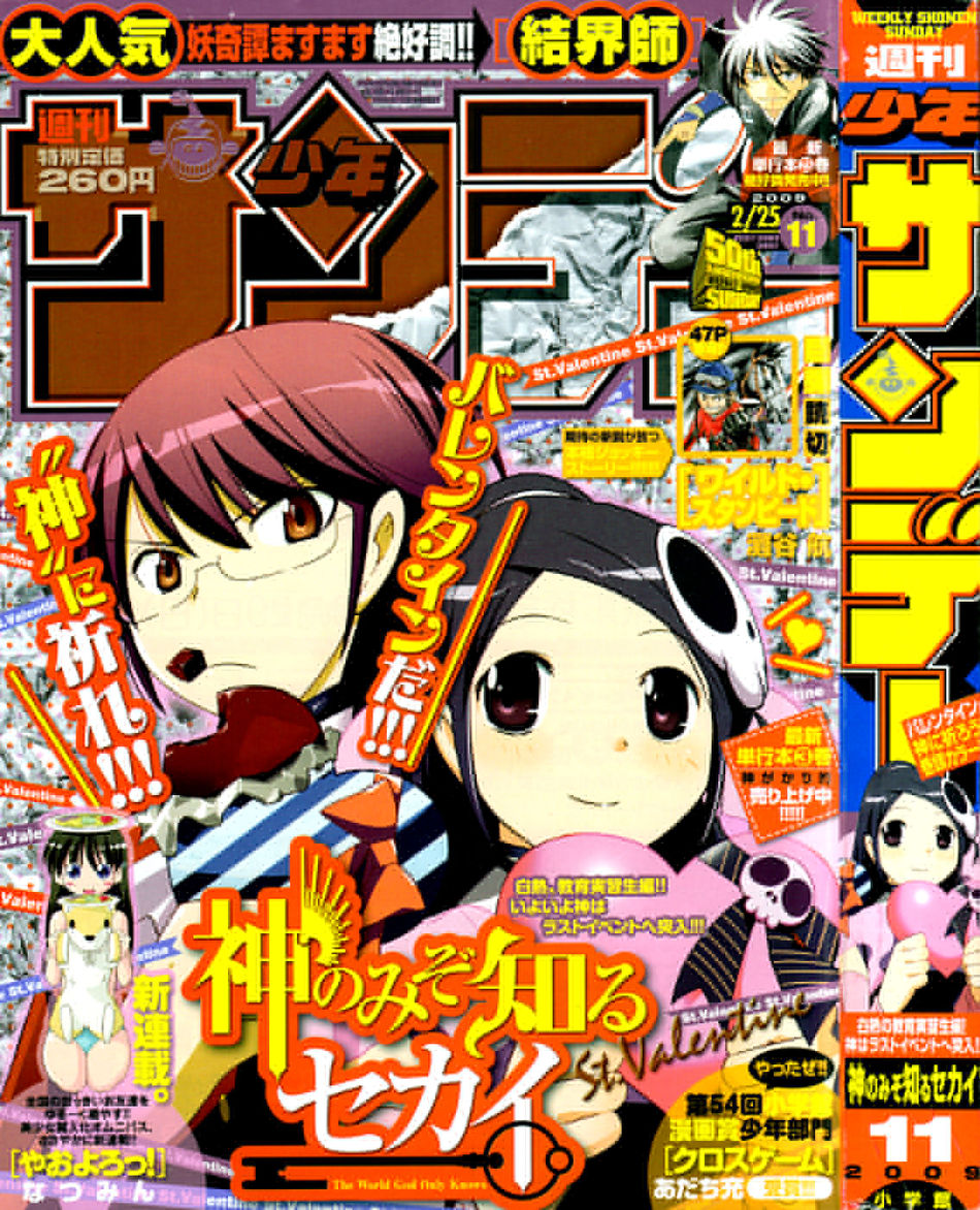 SS11-2009Cover.jpg