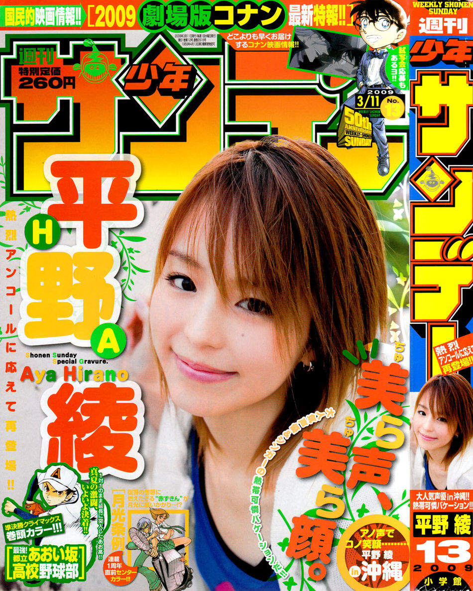SS13-2009Cover.jpg