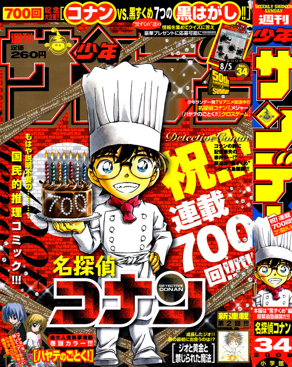 SS34-2009Cover.jpg