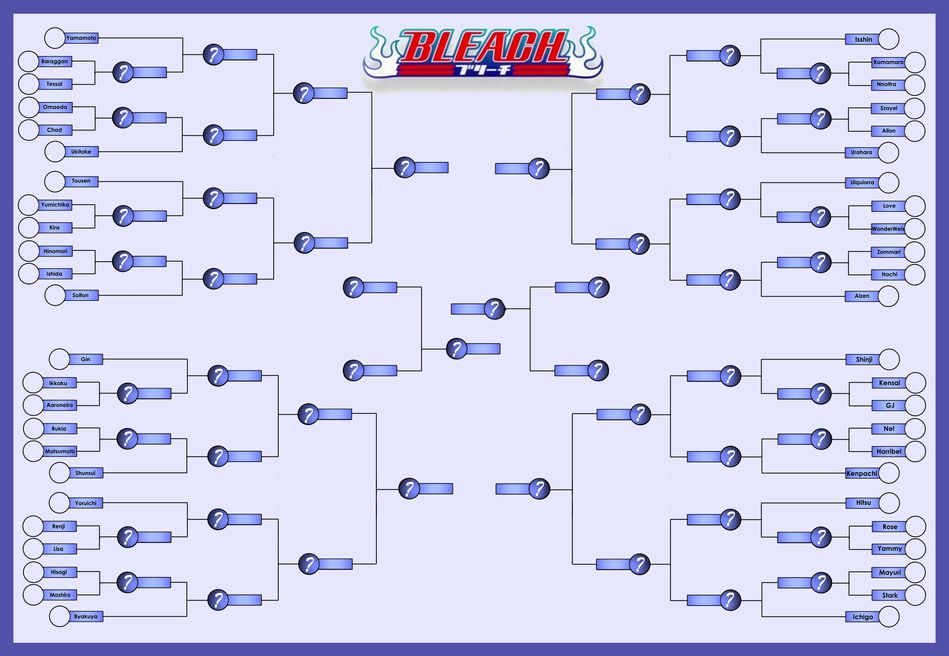 Bleach Bracket Test.JPG
