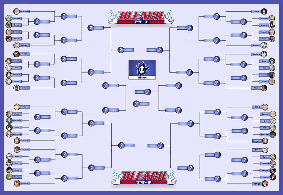 Bleach Bracket 3 -small.JPG