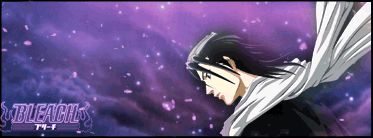 Bleach.gif