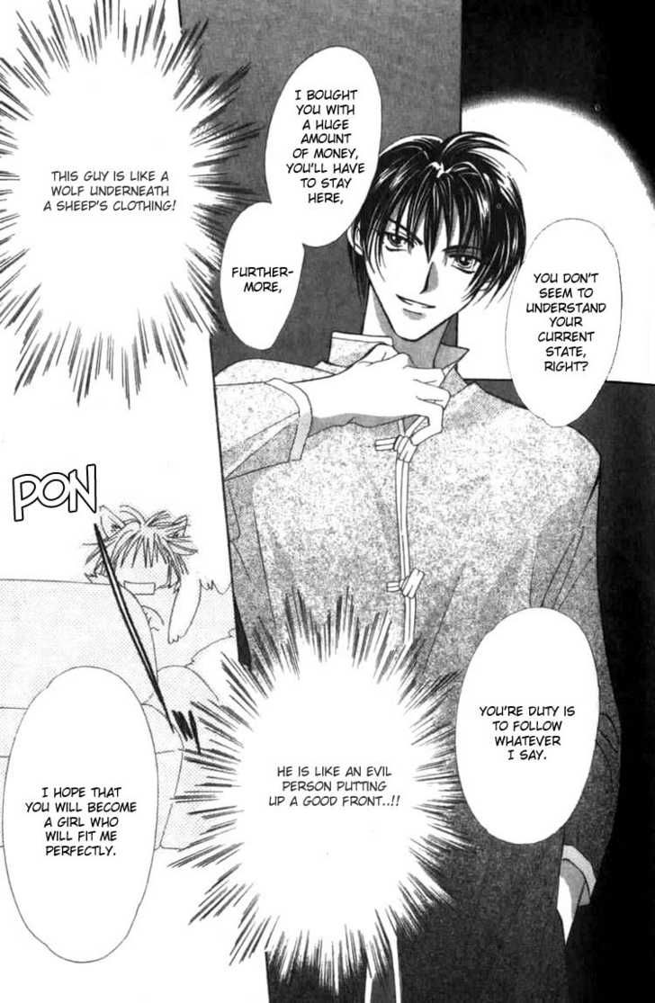 platgard_0101_019.jpg