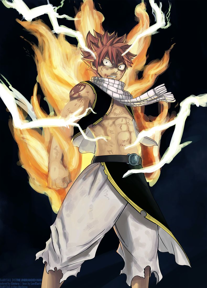 FT 245-21 Natsu.png