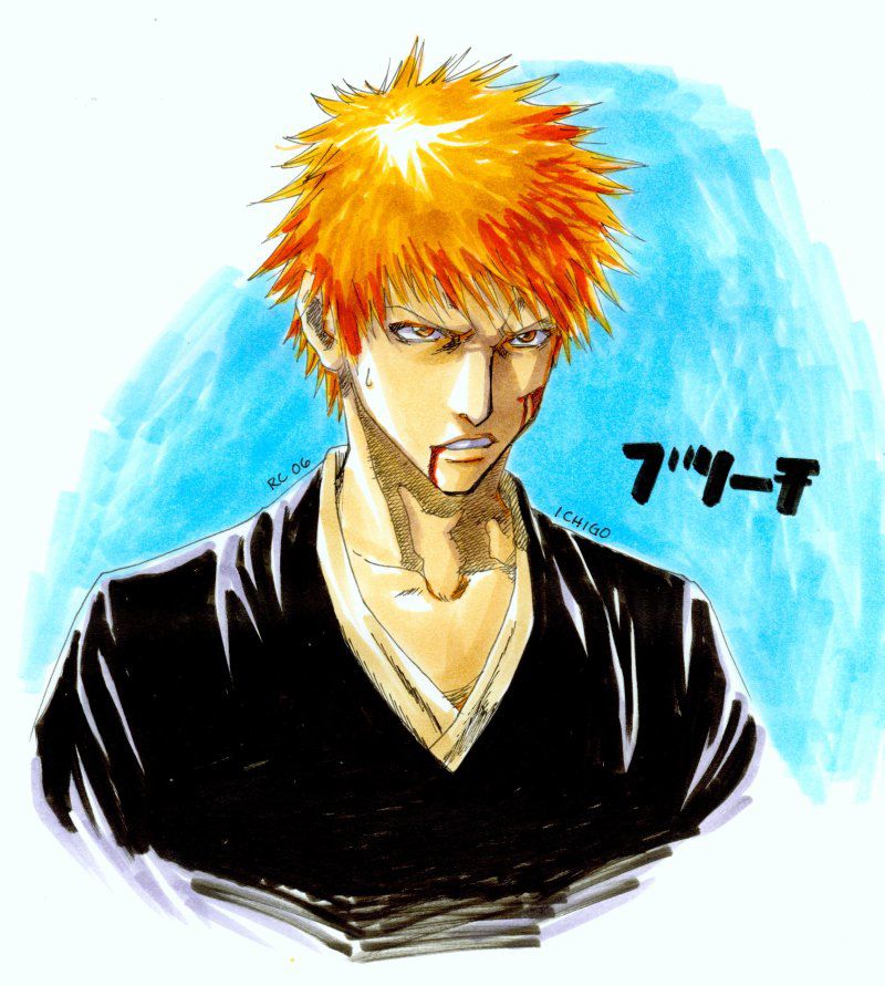 1_Ichigo__by_pokefreak.jpg