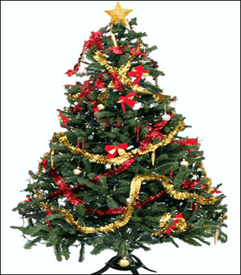 christmas tree.jpg