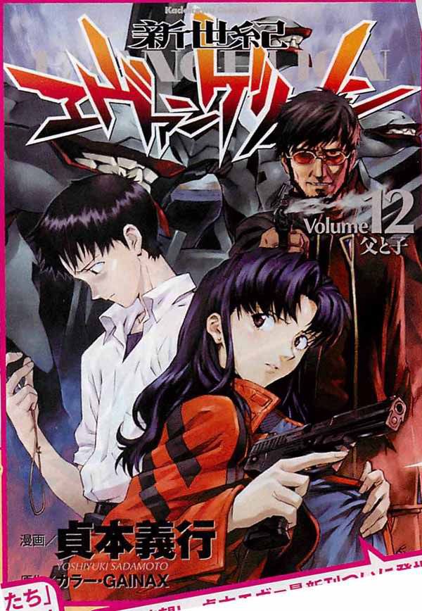 SadamotoMangaVolume12Cover.jpg