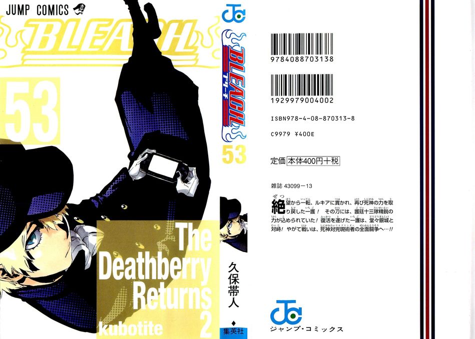 bleach_cover_v53b.jpg