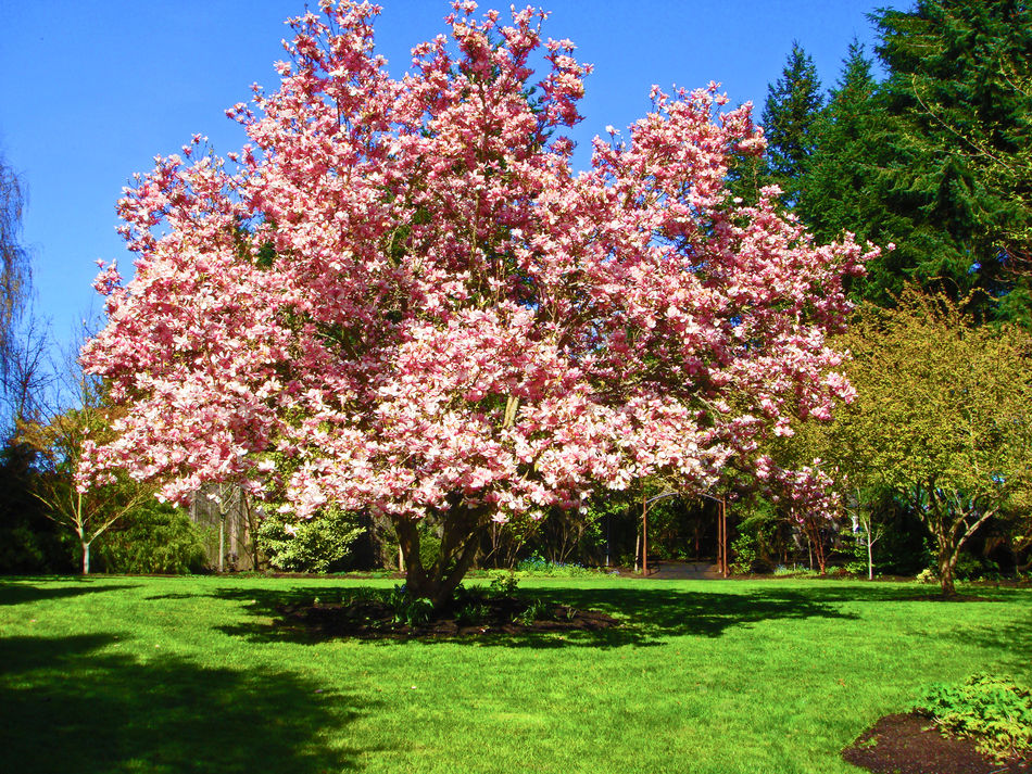 McMenamins Imbrie Hall Grounds.jpg