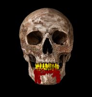 Skull2.png