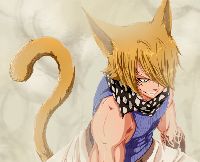 jackal.png