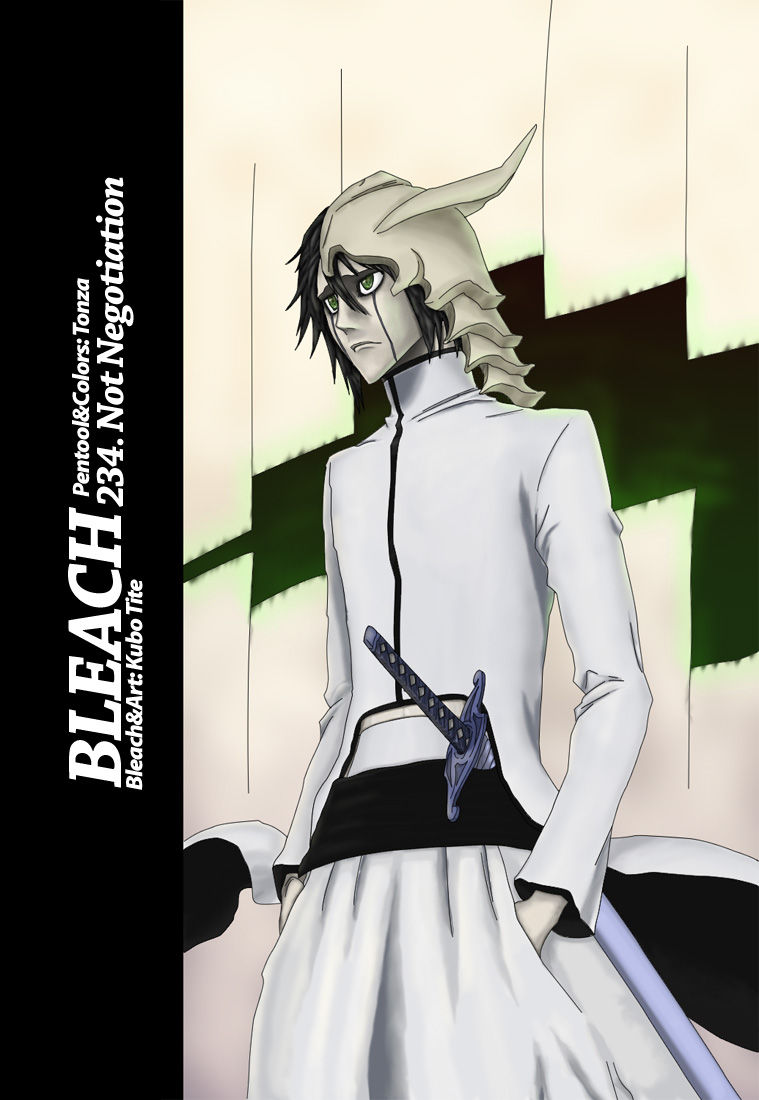 1_bleach23402c6jg.jpg