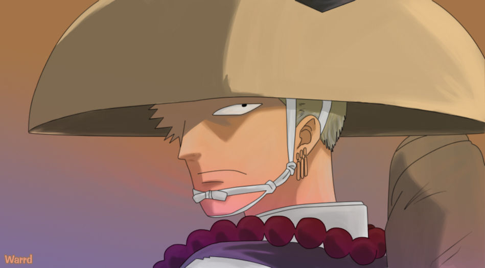 1_Zolo1copy.jpg