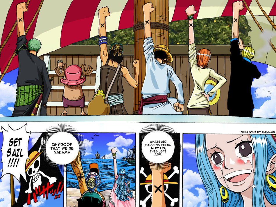 1_onepiece2161819coloreduj2.jpg