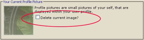 1_03-2_ProPic_Delete.png