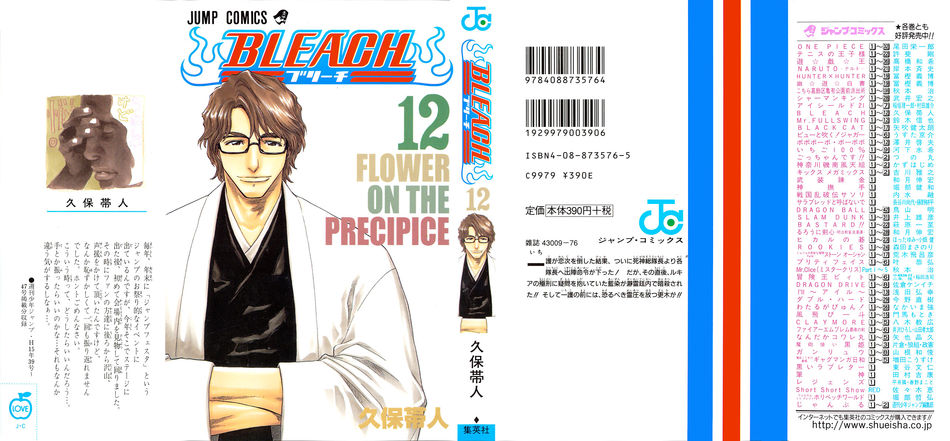 1_Bleach_vol_12.jpg