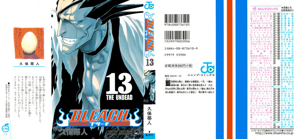 1_Bleach_vol_13.jpg