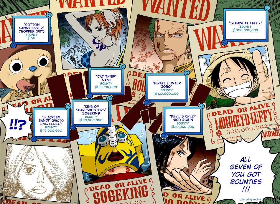 2_onepiece4351617copyij3.jpg