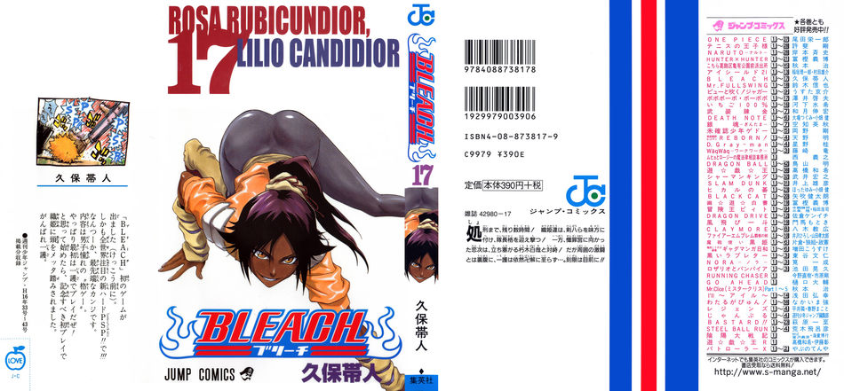 1_Bleach_vol_17.jpg