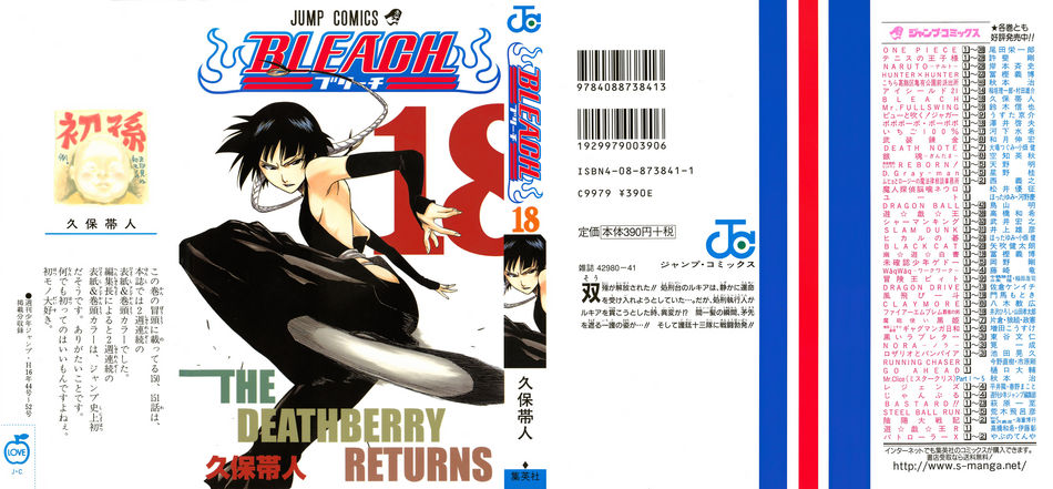 1_Bleach_vol_18.jpg