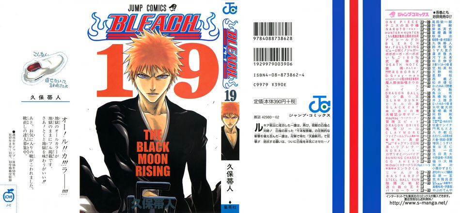 1_Bleach_vol_19.jpg