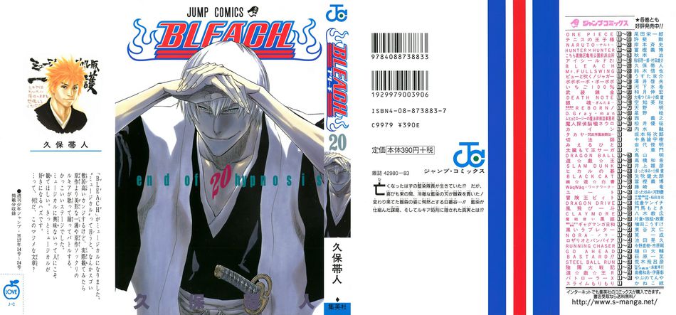 1_Bleach_vol_20.jpg