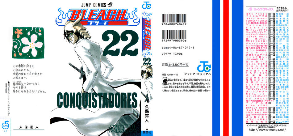 1_Bleach_vol_22.jpg