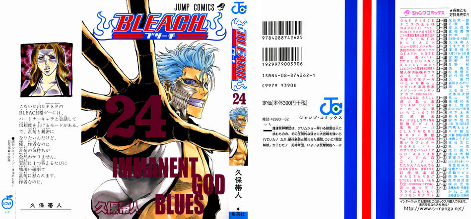 1_Bleach_vol_24.jpg
