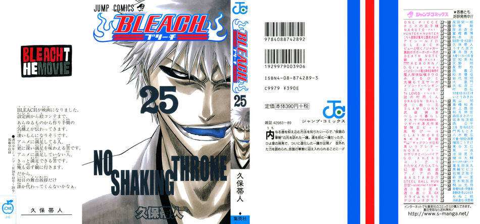 1_Bleach_vol_25.jpg
