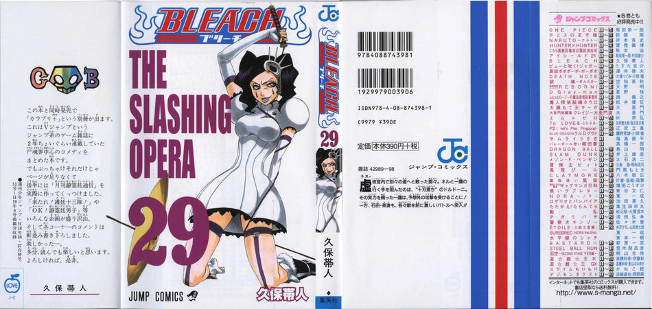 1_Bleach_vol_29.jpg
