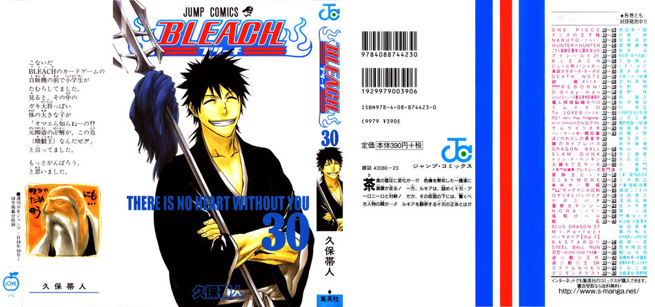 1_Bleach_vol_30.JPG