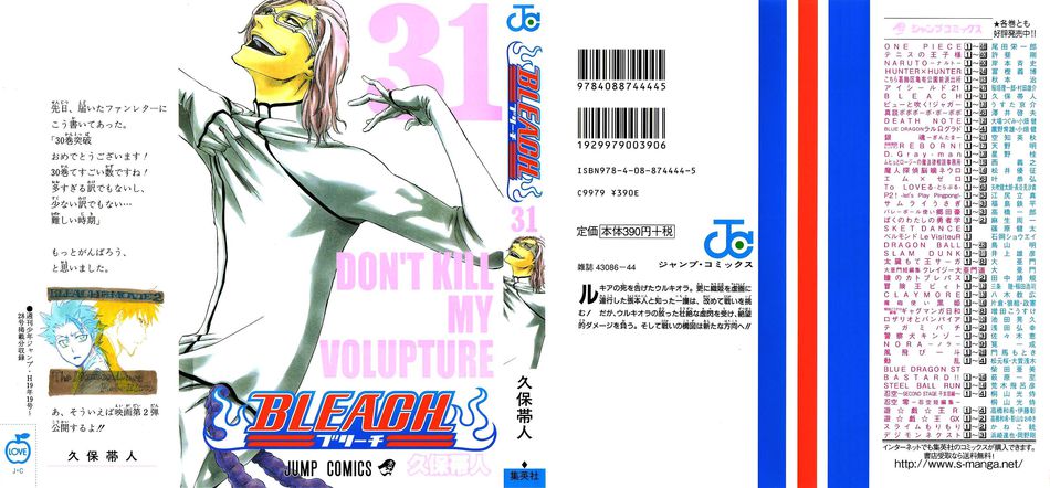 1_Bleach_vol_31.jpg