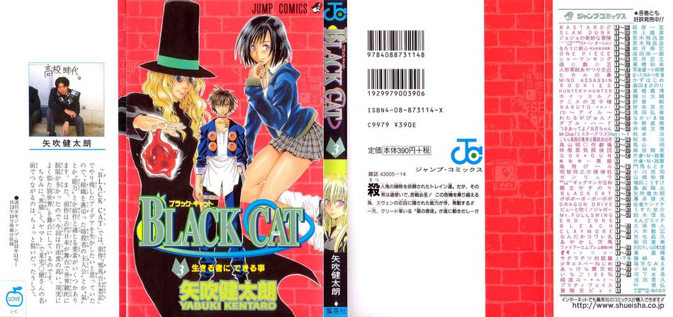 1_Black_Cat_003.jpg