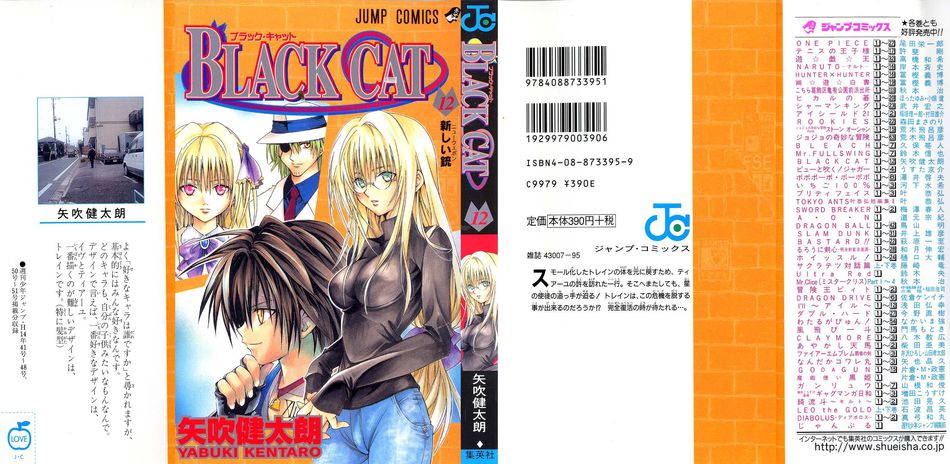 1_Black_Cat_012.jpg