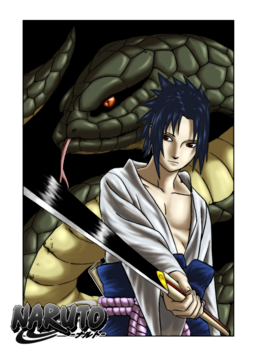 1_sasukemetalanime.jpg