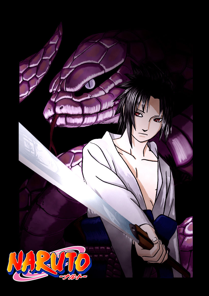 1_sasukech308cover5a0kg_ak46.jpg