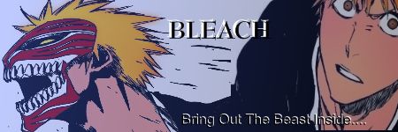 1_BleachSigByCharlie.jpg