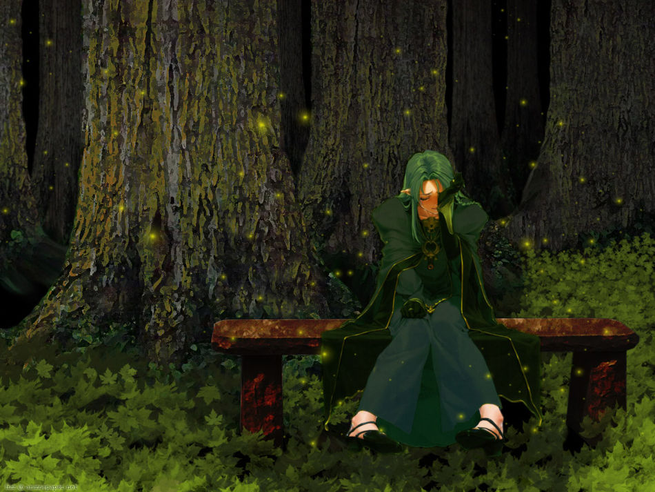 1__AnimePaper_wallpapers_Fate-Stay-Night_Fizz_-edit914.jpg