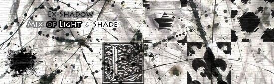 1_Mix_of_Light___Shade.jpg