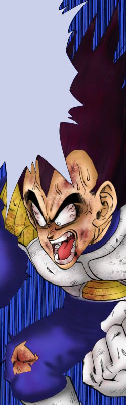 1_vegeta2_copia.png