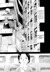 The Labyrinth Cat