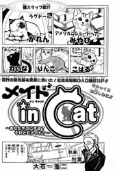 Maid in Cat