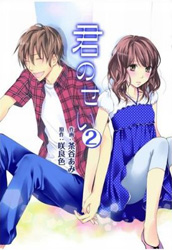 Kimi no Sei