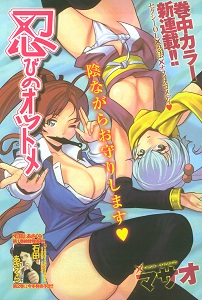 Shinobi no Otsutome